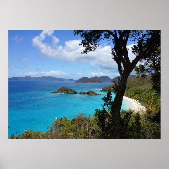 Tropischer Strand Poster (Vorne)