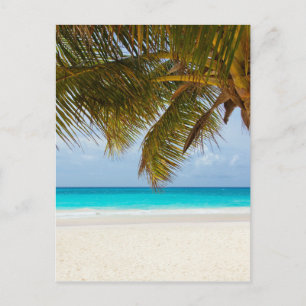Tropischer Strand Postkarte