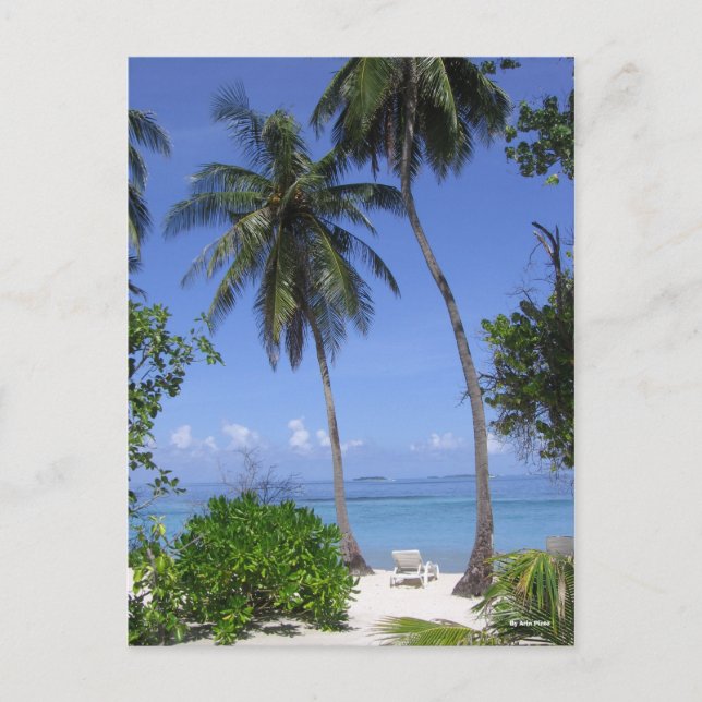 Tropischer Strand Postkarte (Vorderseite)