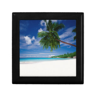 Tropischer Strand   Seychellen Erinnerungskiste