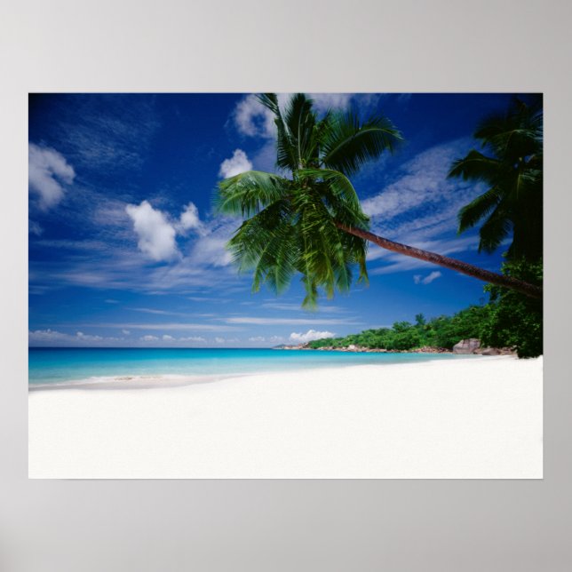 Tropischer Strand | Seychellen Poster (Vorne)
