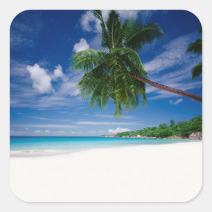 Tropischer Strand   Seychellen Quadratischer Aufkleber
