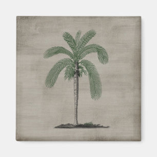 Tropischer Strand Vintage-Palmenbaum Magnet