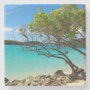 Tropischer Untersetzer Zimt-Bucht-Johannes USVI
