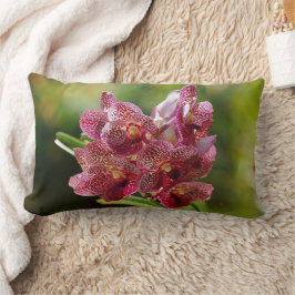 Tropischer Vanda-Orchid-Cluster Lendenkissen