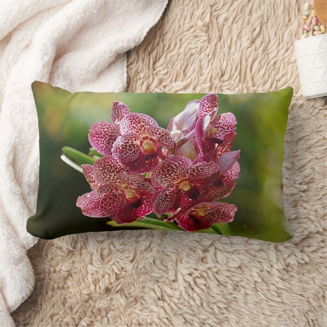 Tropischer Vanda-Orchid-Cluster Lendenkissen (Decke)