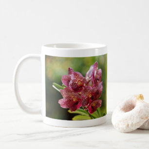 Tropischer Vanda-Orchideen-Cluster Kaffeetasse