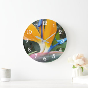 Tropischer Vogel der Paradischen Pflanze Große Wanduhr