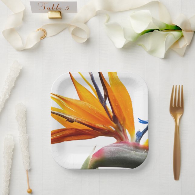 Tropischer Vogel der Paradischen Pflanze Pappteller (Hochzeit)