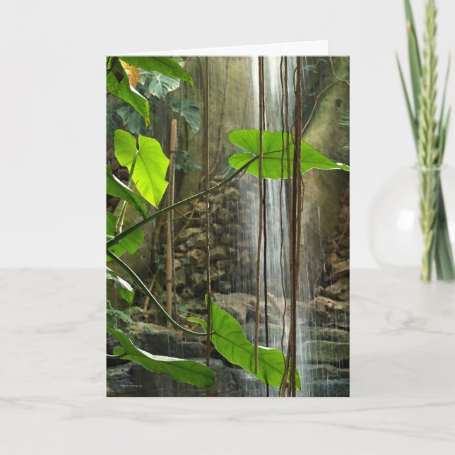 Tropischer Wald (Condolence Card) Karte (Vorderseite)