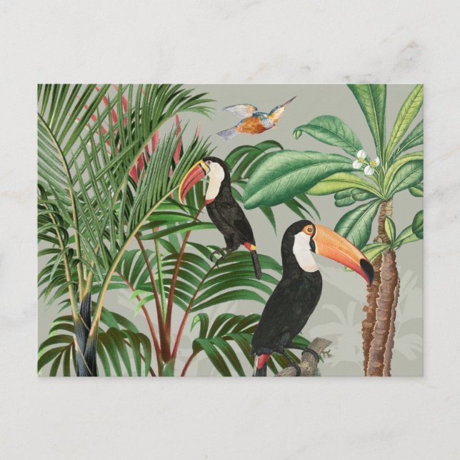 Tropischer Wald & Toucan Birds Feiertagspostkarte (Vorderseite)