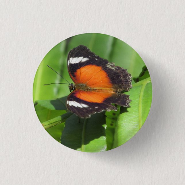Tropisches Abzeichen Button (Vorderseite)