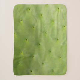 Tropisches botanisches grünes Kaktus-Foto Sherpadecke