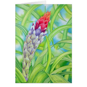 Tropisches Bromeliad