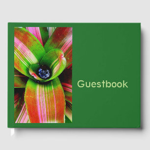 Tropisches Bromeliafolien Gästebuch