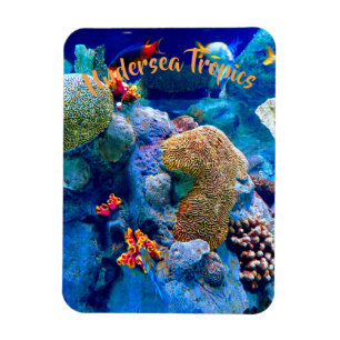 Tropisches buntes unterseeisches Korallenriff Magnet