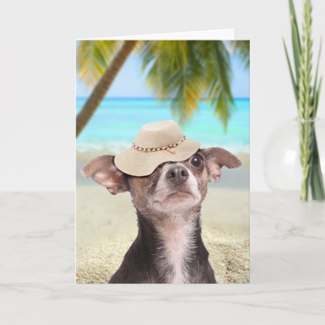 Tropisches Chihuahua im Urlaub Karte (Vorderseite)