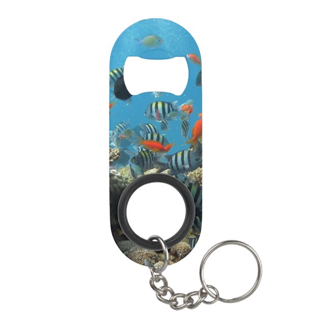 Tropisches Fisch-Chaos Schlüsselbund Flaschenöffner (Rückseite)