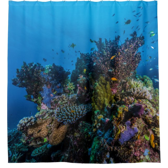 Tropisches Fisch-Great Barrier Reef Duschvorhang (Vorderseite)