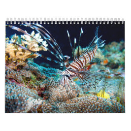 Tropisches Fisch-Great Barrier Reef Kalender