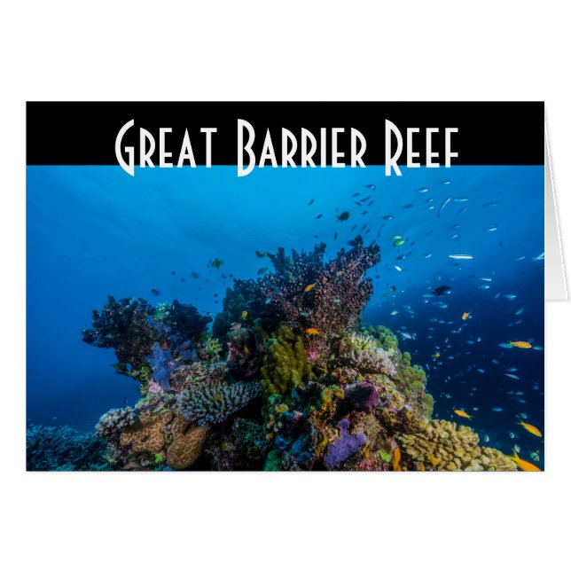 Tropisches Fisch-Great Barrier Reef Korallenmeer (Vorderseite (Horizontal))