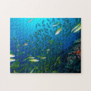 Tropisches Fisch-Great Barrier Reef Korallenmeer