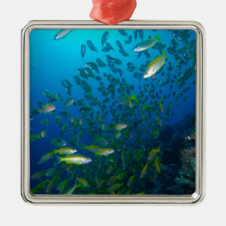 Tropisches Fisch-Great Barrier Reef Korallenmeer Ornament Aus Metall