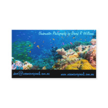 Tropisches Fisch-Great Barrier Reef Korallenmeer