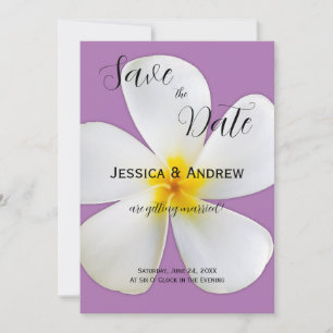 Tropisches Floral, Weiße Frangipani, Lavendel, Hoc Save The Date