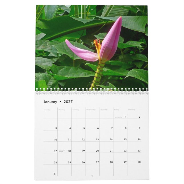Tropisches Hawaii Kalender (Jan 2027)
