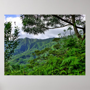 Tropisches Hawaii Poster