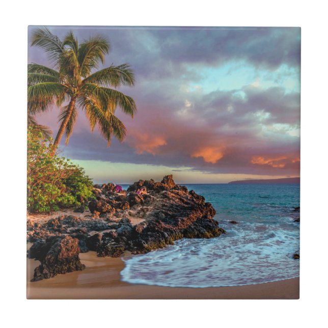 Tropisches hawaiisches Palme-Sandy-Strand-Paradies Fliese (Vorderseite)