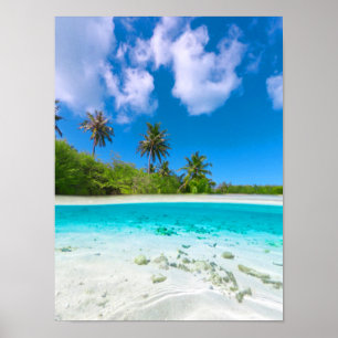 Tropisches Insel-Kokosnuss-Palm Beach Poster