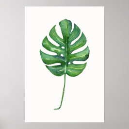 Tropisches Leaf-Poster (Monstera) Poster