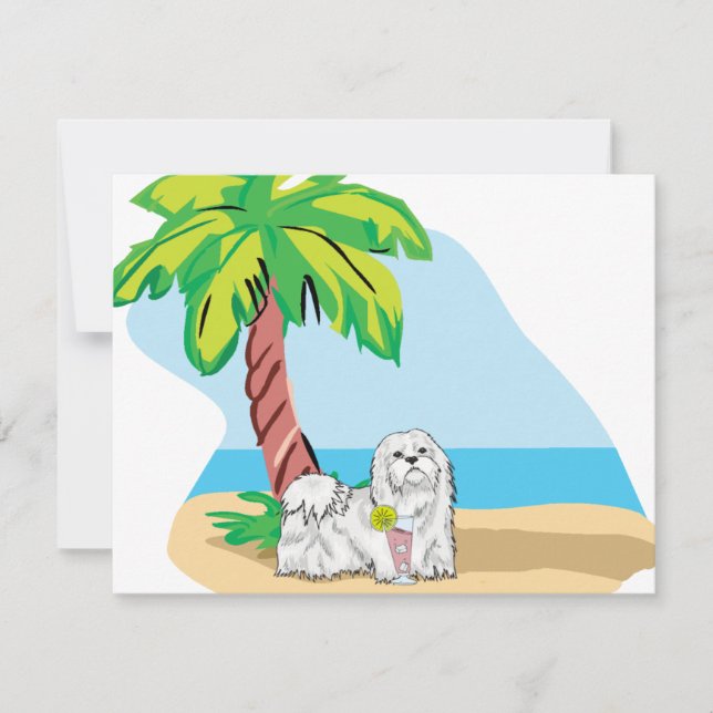 tropisches Maltese (Vorderseite)