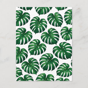 Tropisches Monstera-Blattmuster Postkarte