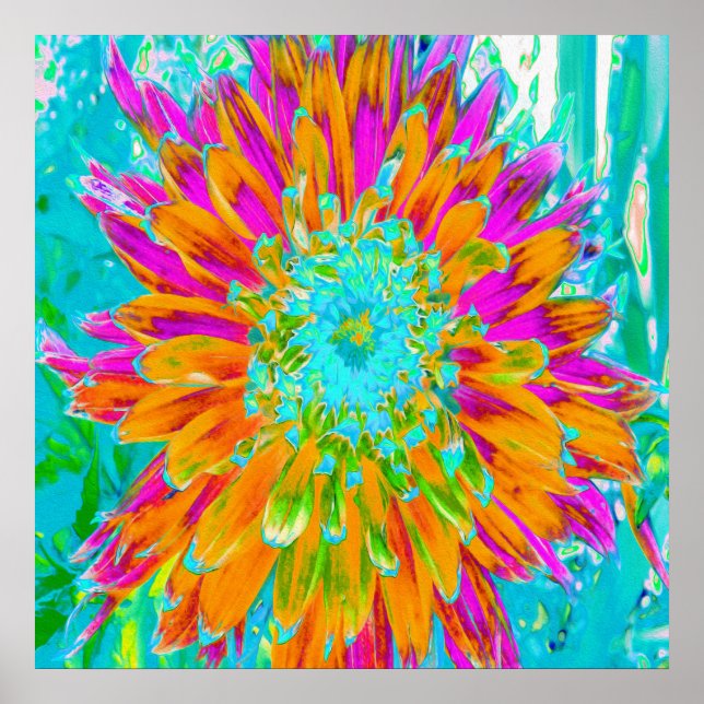 Tropisches Orange und heiß rosa Dekorative Dahlia Poster (Vorne)