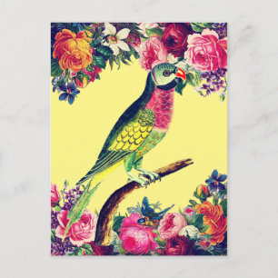 Tropisches Papageien-Vintage-Design Postkarte