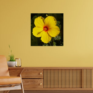 Tropisches Paradies Gelbe Hibiskusblüte Matt Poster