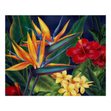 Tropisches Paradies Hawaiian Floral Posters