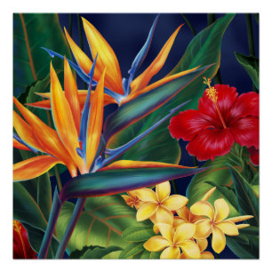 Tropisches Paradies-hawaiisches Blumen Poster