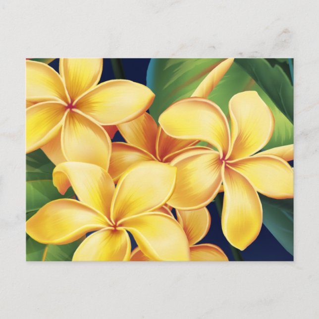 Tropisches Paradies Plumeria Postkarte (Vorderseite)