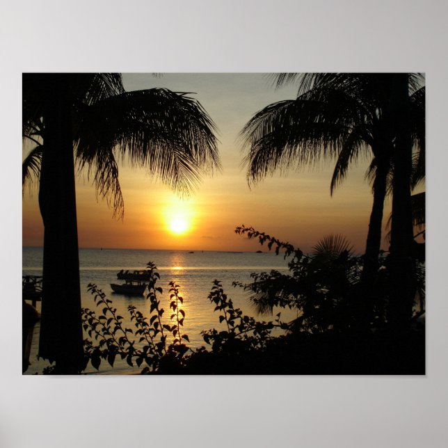 Tropisches Paradies Poster (Vorne)