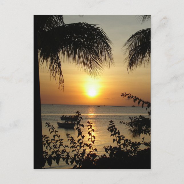 Tropisches Paradies Postkarte (Vorderseite)