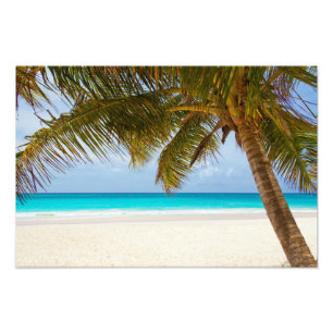 Tropisches Paradies Strand Fotodruck