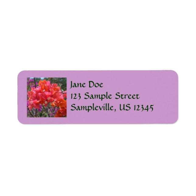 Tropisches Pink Bougainvillea Insel Floral (Vorne)