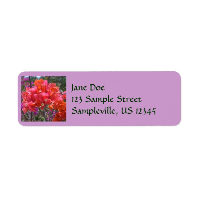 Tropisches Pink Bougainvillea Insel Floral (Vorne)