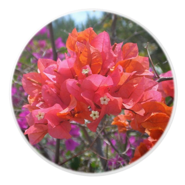 Tropisches Pink Bougainvillea Insel Floral Keramikknauf (Vorderseite)
