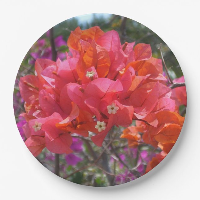 Tropisches Pink Bougainvillea Insel Floral Pappteller (Vorderseite)
