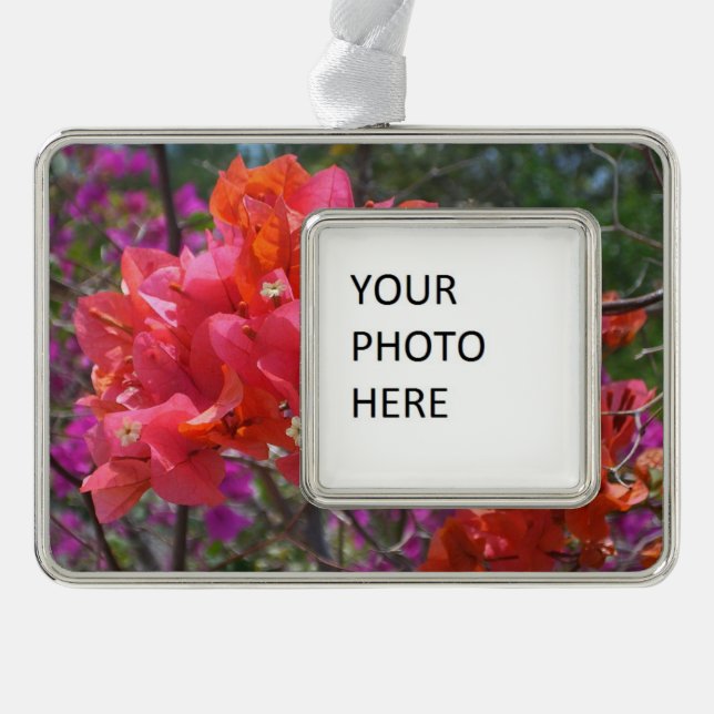 Tropisches Pink Bougainvillea Insel Floral Rahmen-Ornament Silber (Vorderseite)